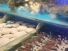 -SEA西雅图海鲜自助餐厅(海乐世界店)