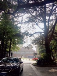 -上海瑞金洲际酒店·宴会厅