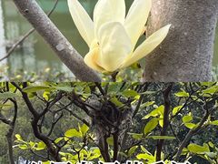 -上海交通大学(闵行校区)