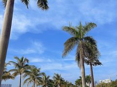 -港珠澳大桥(珠海段)