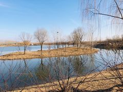 -东郊湿地公园