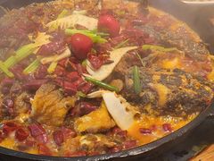 -老板恋上鱼(印象城店)