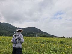 -浮槎山