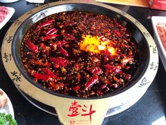 -一斗火锅·招财羊毛肚(北温泉九号店)