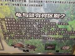 -上海大自然野生昆虫馆