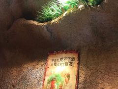 -愿者上钩(龙华华润万家店)
