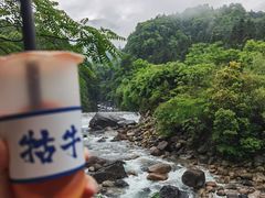 -石台牯牛降景区