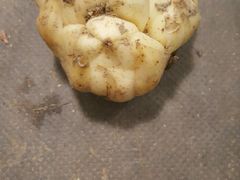 -福缘烤肉王自助(爱琴海-原比尔森店)