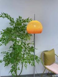 -变美丽半永久纹眉连锁·机器野生眉·洗眉