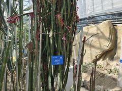 -南山植物园