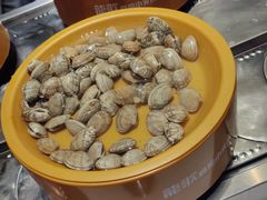 -龍歌自助小火锅(秦淮水游城店)