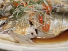 清蒸白丝鱼-状元楼(金溪路店)