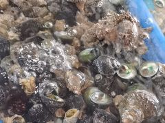 -鸿旺海鲜楼(平潭流水店)