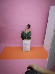 -巴巴爸爸儿童摄影(少年宫店)