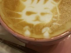 -萌喵宠狗爱心宠咖