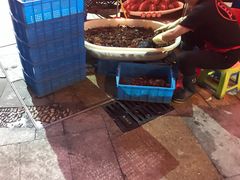 -陈帅夜排档·龙虾·炒菜·烤串(世茂店)