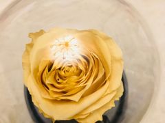 -ROSEONLY诺誓(青岛万象城店)