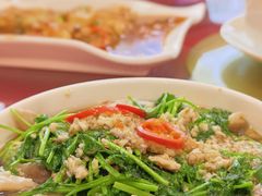 沙姜捞爽肚-宜宾海鲜酒家·三十年老字号