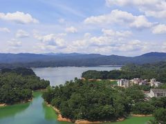 -广州市流溪河国家森林公园