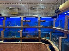 -齐家花园大酒店(宝山店)