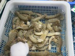 -斌记海鲜加工(十四涌店)