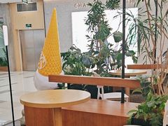 -野人先生Gelato(上海长宁龙之梦店)