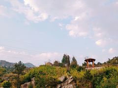 -清境桃源