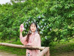 -秀丽东方