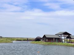 -南大港湿地风景区