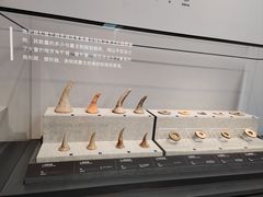 -鸿山遗址博物馆