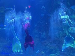 -威海华夏城景区