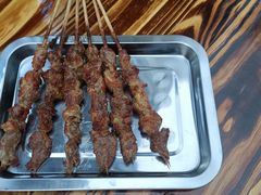 -民族烤羊·烤羊肉串·烤羊排(南城店)