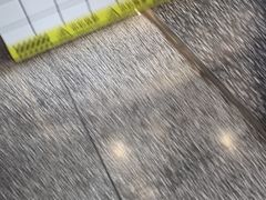 -包道广式点心专门店(振业店)