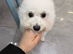 -它主义宠物(梁溪万达店)