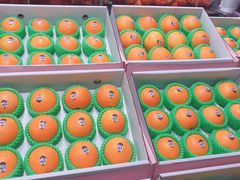 -鲜果壹号(旺墩店)