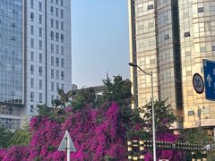 -百林公园-两江幸福广场