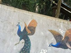 -西双版纳原始森林公园