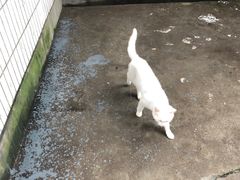 -山城巷传统风貌区