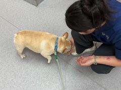 -康成宠物医院24H·CT·核磁共振