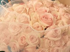 -花到家(富贵鸟花艺行)