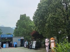 -石台牯牛降景区