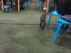 -客友延安沾沾(西八里社区店)