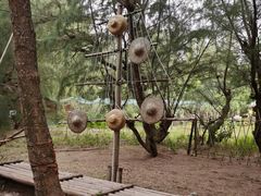 -北海金海湾红树林生态旅游区