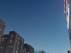 -必胜客(五道口店)