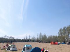 -东郊湿地公园