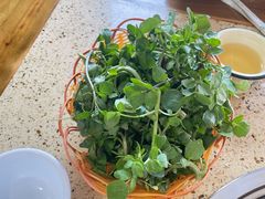 -杨记山珍鸡煲菌汤锅