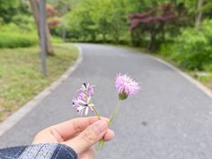 -天生桥景区