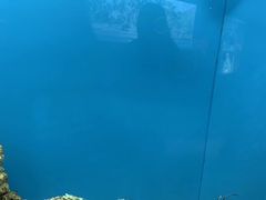 -北戴河圣蓝海洋公园