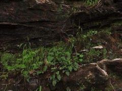 -北京上方山国家森林公园