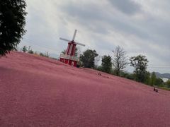 -羊亭河湿地公园